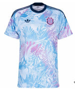 Maillot Costa Rica Extérieur CDM 2026